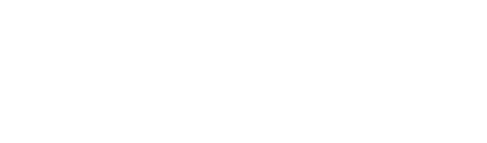 VOIZ